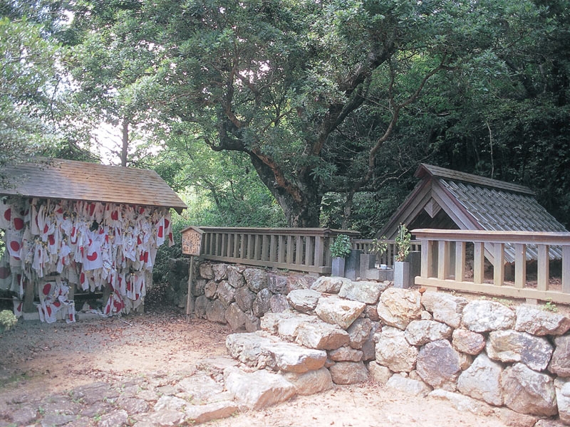 谷秦山 墓所の画像