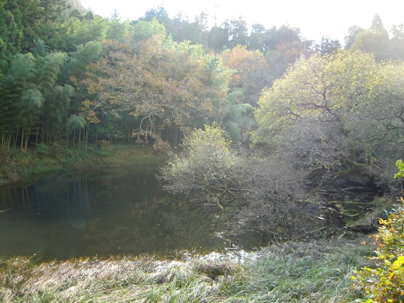 男池の画像