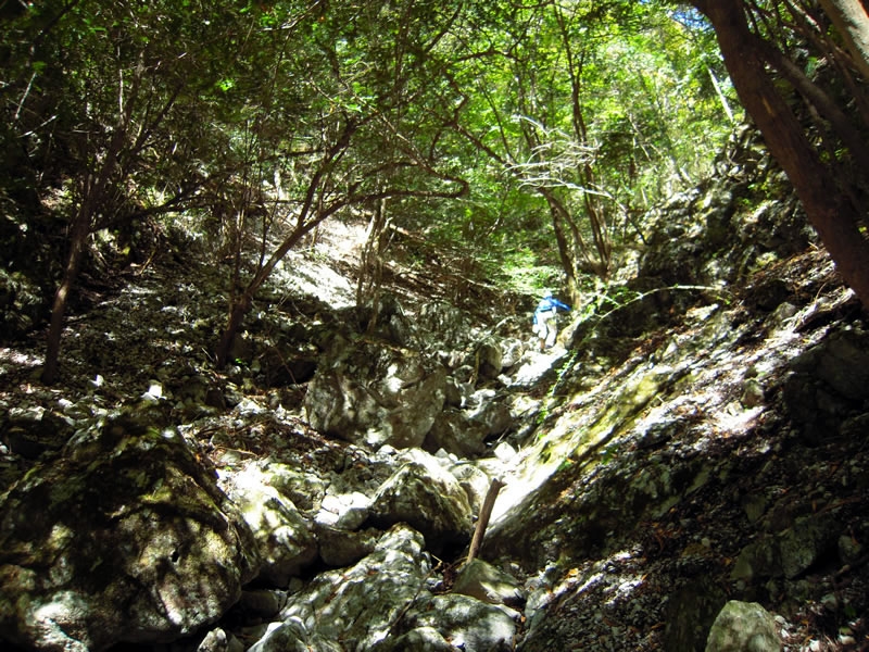 高板山御陵周辺の画像