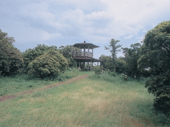 県立甫喜ヶ峰森林公園の画像