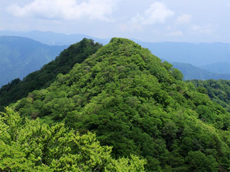 高板山の画像