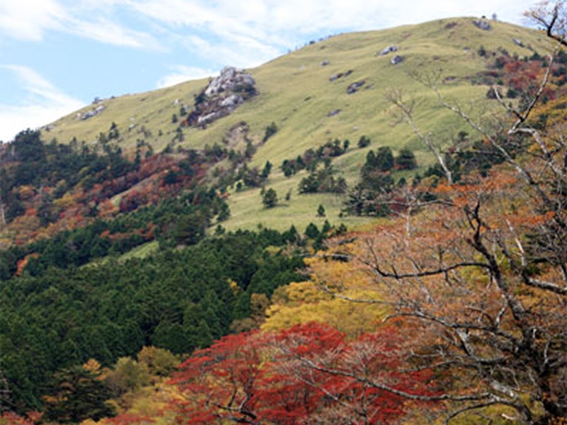 白髪山の画像