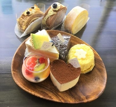 プルメリアラクーンの画像 プルメリアラクーンの画像